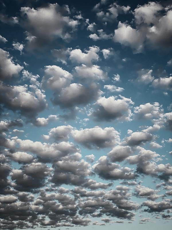 Altocumulus Clouds, Washington