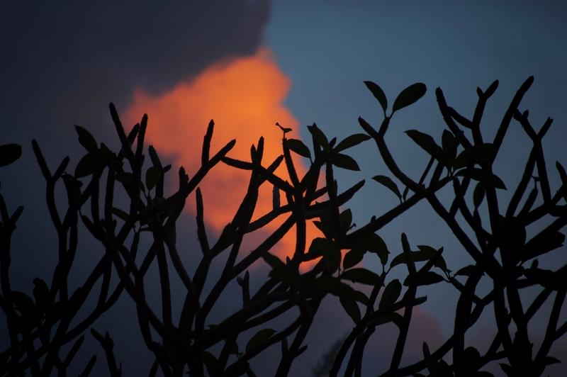 Plumeria And Cloud, Hawaii